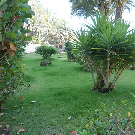 Beach Apartment Arguineguin